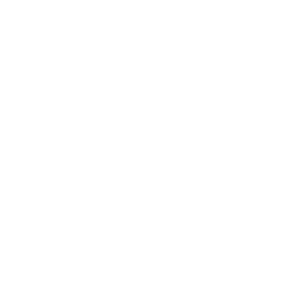 The Speakeasy Project